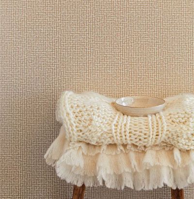 Обои однотонные 388720  - 1