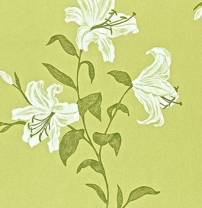 зеленые обои с лилиями DAPGSE104 Sanderson