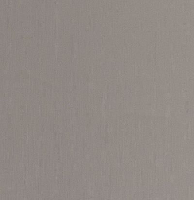 негорючая ткань для портьер Wasabi CS 12 