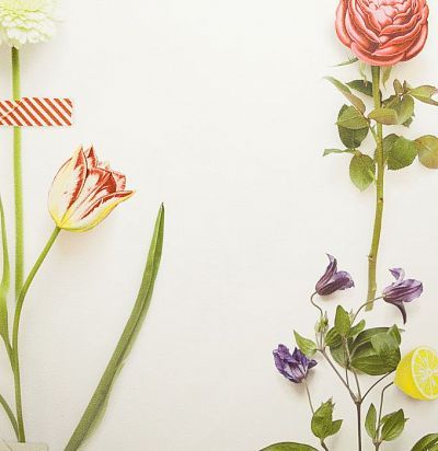 Обои с цветами на светлом фоне 341087  - 1