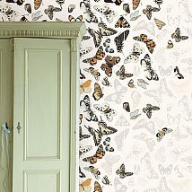 Фото: Обои для стен с бабочками 321531- Ампир Декор