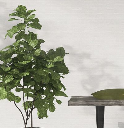 обои под покраску 326017 Rasch - 1