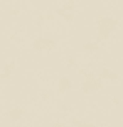 Обои однотонные современные BLONE1007 Guy Masureel