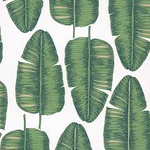 Фото: обои с пальмовыми листьями KWA704- Ампир Декор