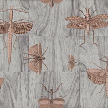 Фото: обои серые с насекомыми 42000- Ампир Декор