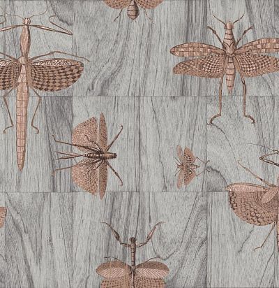 обои серые с насекомыми 42000 ARTE