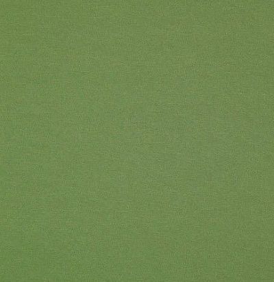 Французский хлопок 10645.72 Angel Cactuse Nobilis