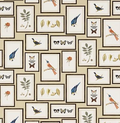 обои современные дизайн  птицы и бабочки 213399 Sanderson