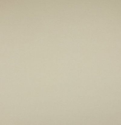 Однотонный хлопок пастельных тонов 04676/06 