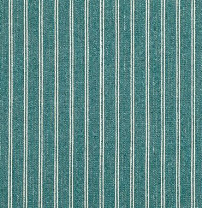 Английская ткань Z424/03 Zinc