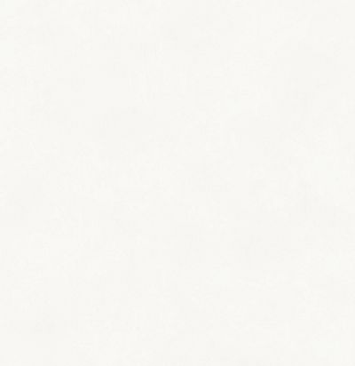 Обои матовые с иммитацией штукатурки BLONE1021 Khroma