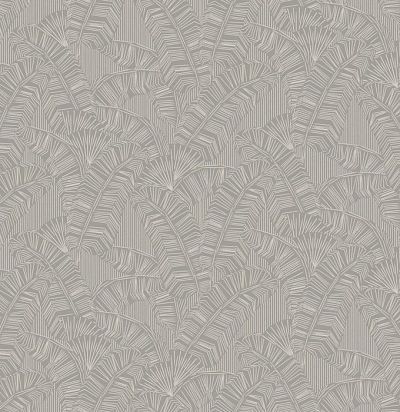 Растения AMA404 Khroma