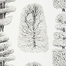 Фото: ткань для портьер из Англии F1803/01- Ампир Декор