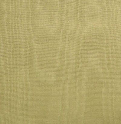 ткань тревира для портьер Gloria CS 55 