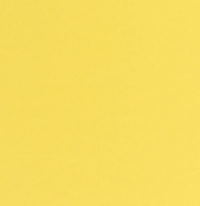 однотонная негорючая ткань для портьер Wasabi CS 03 