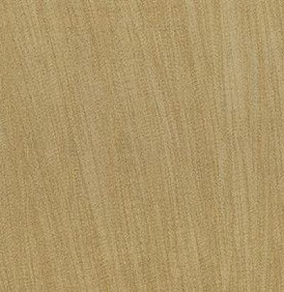 обои золотистые фоновые 23525 ARTE