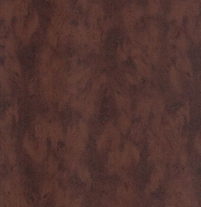 Обои имитация шкуры волка 300583  - 1