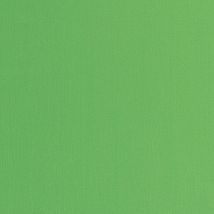 Фото: яркая ткань тревира для портьер Wasabi CS 05- Ампир Декор