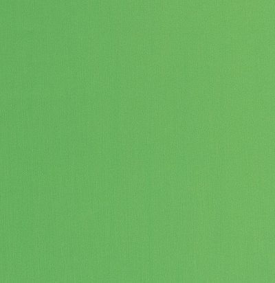 яркая ткань тревира для портьер Wasabi CS 05 