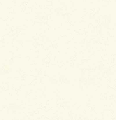 Обои матовые с иммитацией штукатурки BLONE1010 Khroma