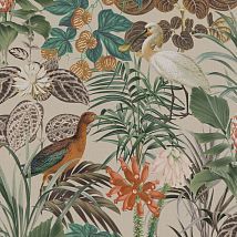 Фото: Обои метражные птицы в тропическом лесу BOP502- Ампир Декор