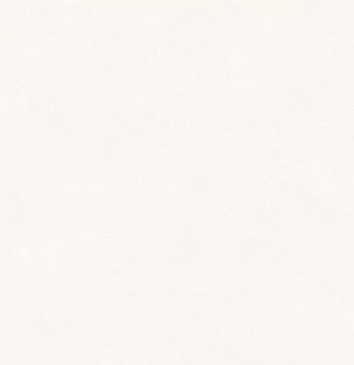 Обои супермоющиеся иммитация краски BLONE 1021 Khroma