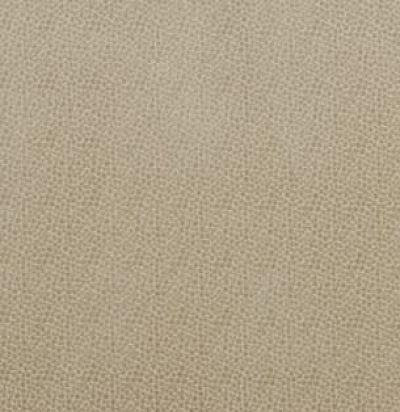 PF50423-225 Salsa Spot Parchment Однотонная ткань из Англии GP&JBaker