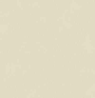 Обои матовые с иммитацией штукатурки BLONE1007 Khroma