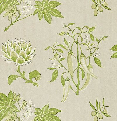 обои растительный дизайн TRA03001 Zoffany