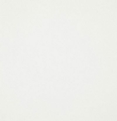 Французский хлопок 10625.01 Velours Massimo Ecru Nobilis