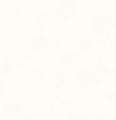 Обои матовые с иммитацией штукатурки BLONE1001 Khroma