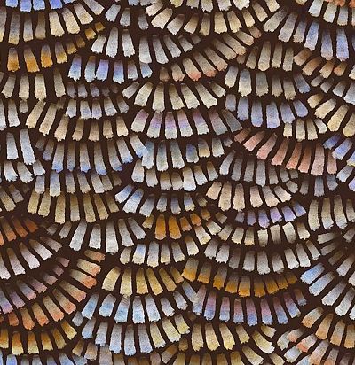 Обои с веерообразным рисунком MO4021 ARTE