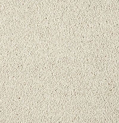 Lounge ZEO/251 Ковровое покрытие  (4м x 1м) SmartStrand