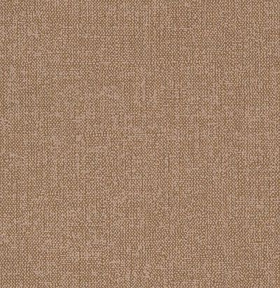 обои коричневые однотонные ADA705 Khroma Zoom