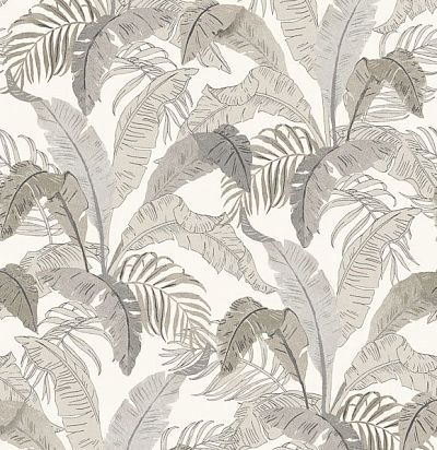 Обои современные дизайнерские крупные  листья пальмы LOT002 Khroma Zoom