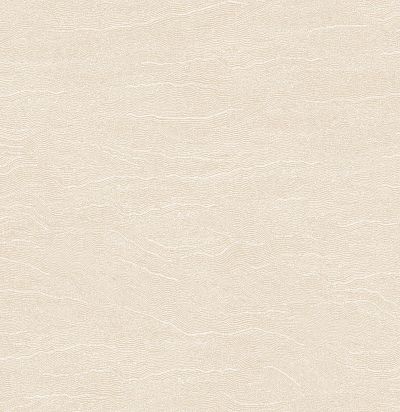 Обои современные  однотонные легкая волна  TER005 Guy Masureel