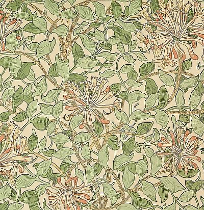 Дизайнерские обои на бумаге WM7611-5 Morris&Co