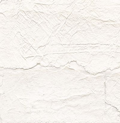 RM66401 Satoyama Troublante transparence Обои из Франции 