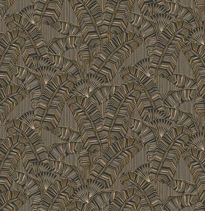 Растения AMA402 Khroma