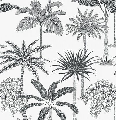 обои с пальмами 36500 Hookedonwalls