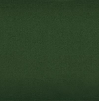 39173624 BROOKS VERT BOUTEILLE  Французская ткань 