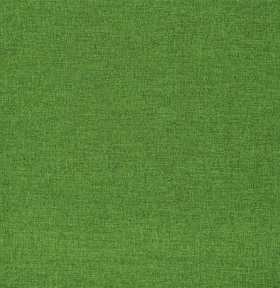 Английская ткань FDG2444/01 