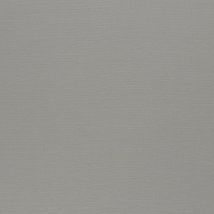 Фото: тюль тревира Silenzio CS 07- Ампир Декор