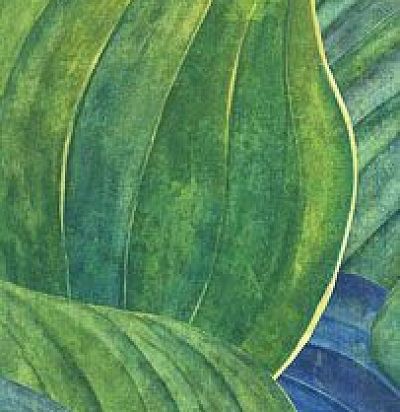 Панно с листьями хосты DG2HOS1013 Khroma