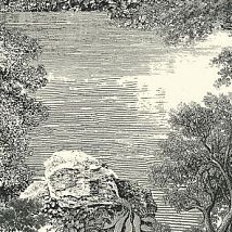 Фото: Панно ЛЕС имитация гравюры DG2SAL1011- Ампир Декор