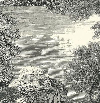 Панно ЛЕС имитация гравюры DG2SAL1011 Khroma