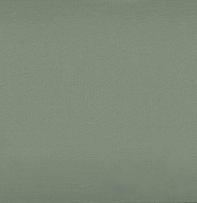 39173583 BROOKS VERT DE GRIS  Современная ткань из Франции 