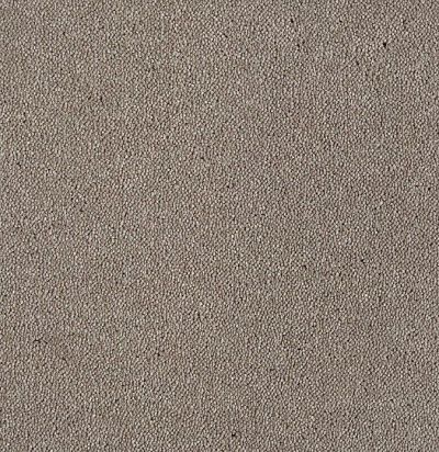 Dream UIO/261 Ковровое покрытие  (5м x 1м) SmartStrand