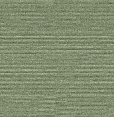 Обои метражные однотонные BOP316 Omexco