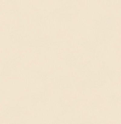 Обои матовые с иммитацией штукатурки BLONE1005 Khroma